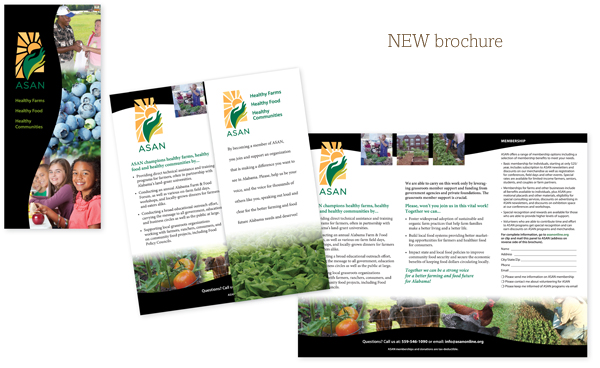 ASAN new brochure design